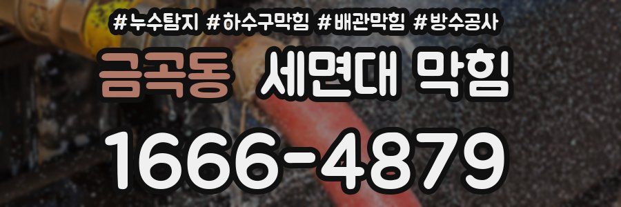 금곡동 세면대 막힘