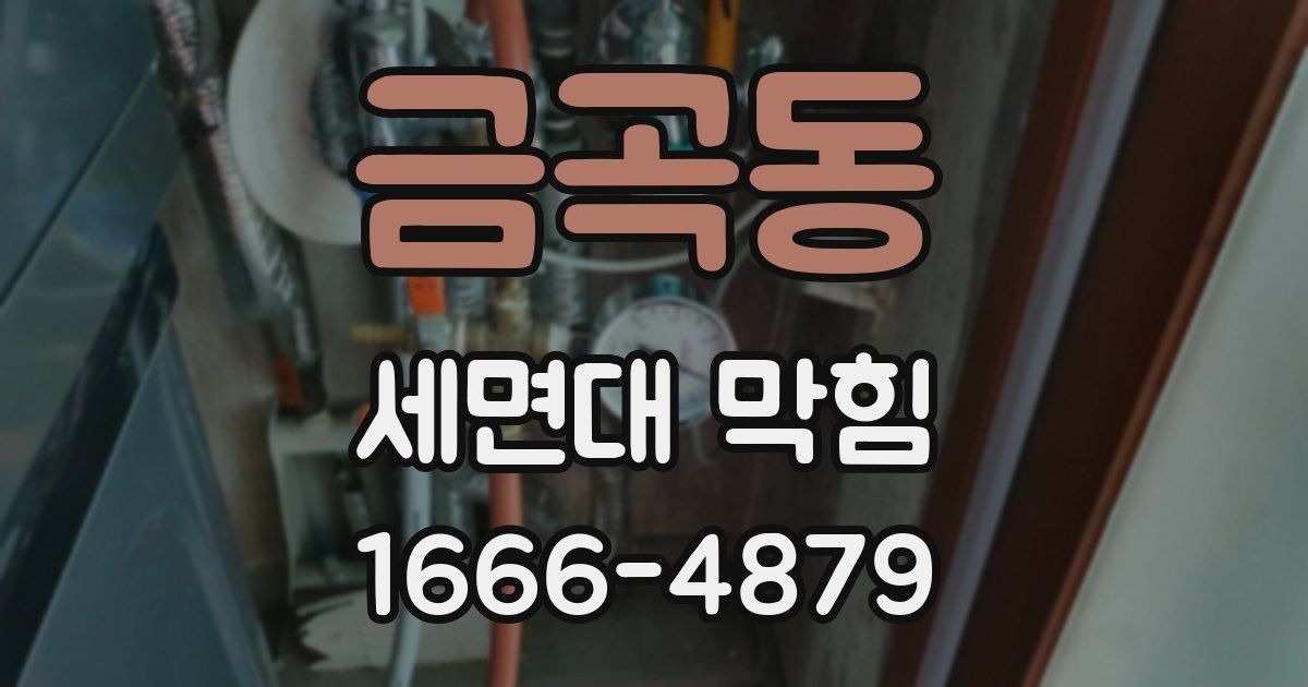 금곡동 세면대 막힘