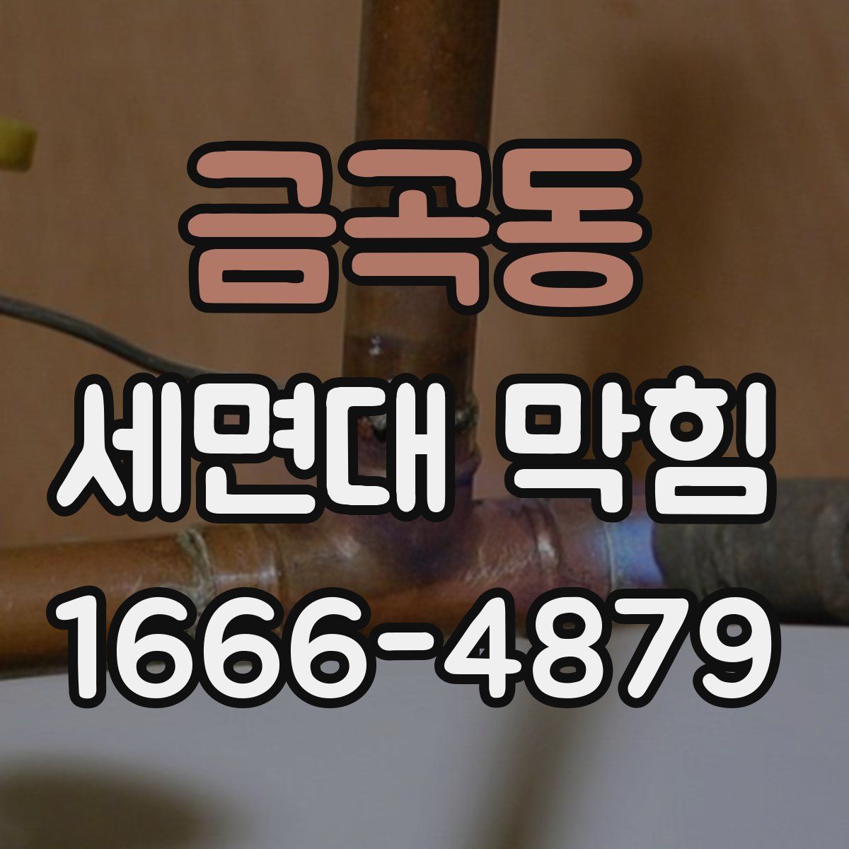 금곡동 세면대 막힘