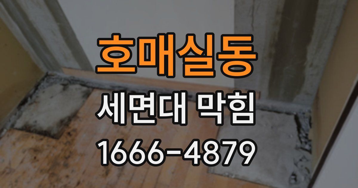 호매실동 세면대 막힘