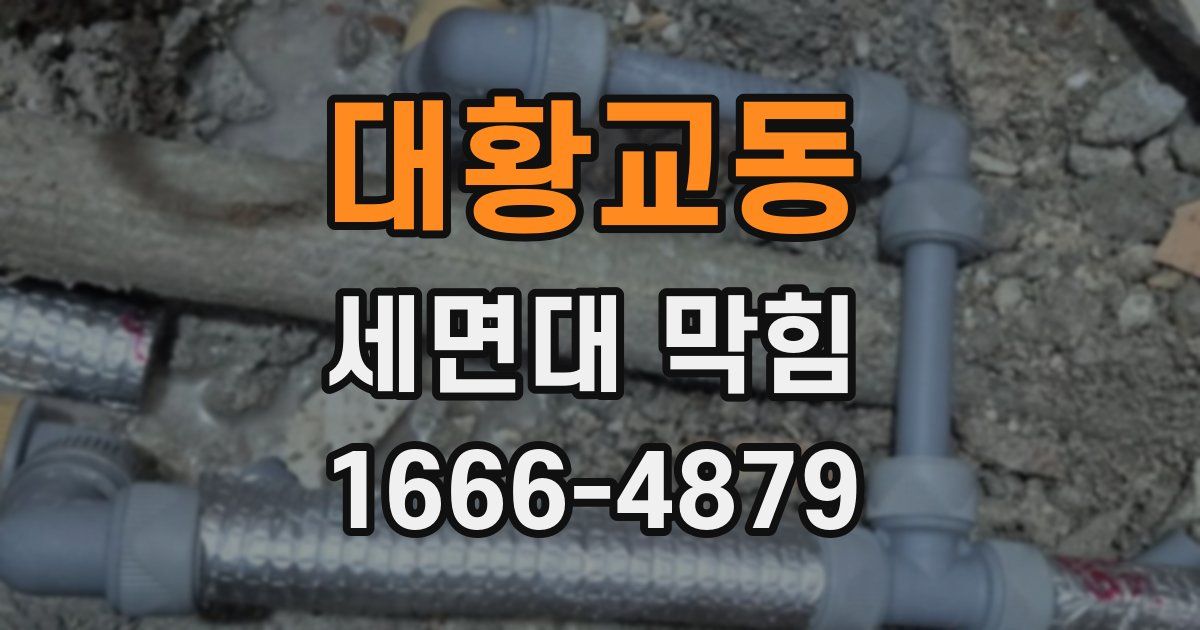 대황교동 세면대 막힘