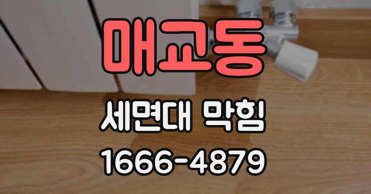 매교동 세면대 막힘