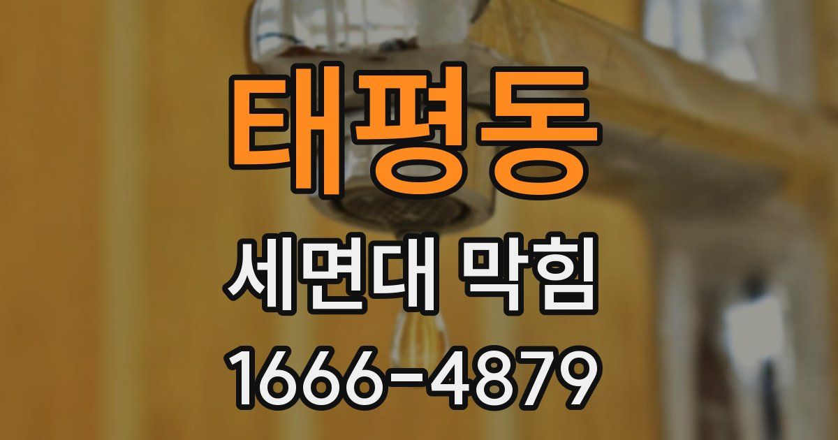 태평동 세면대 막힘