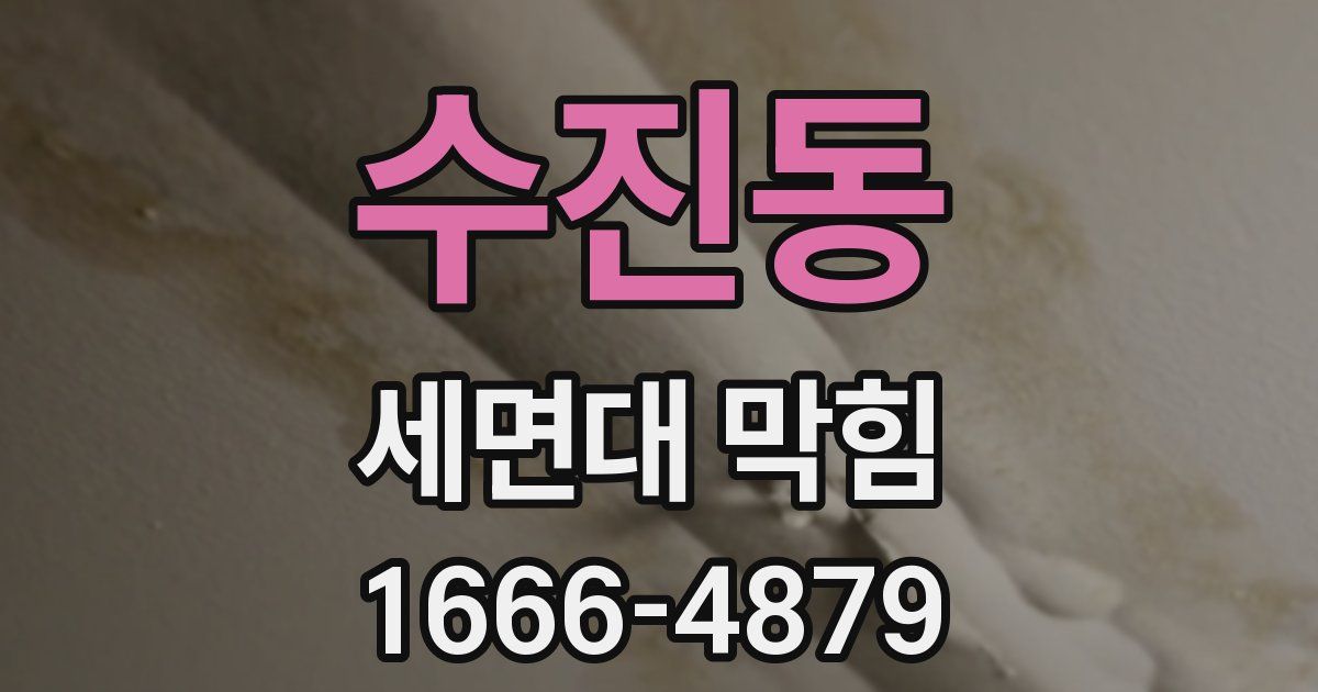 수진동 세면대 막힘