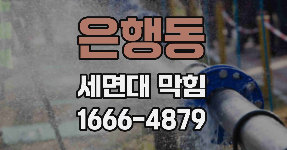 은행동 세면대 막힘