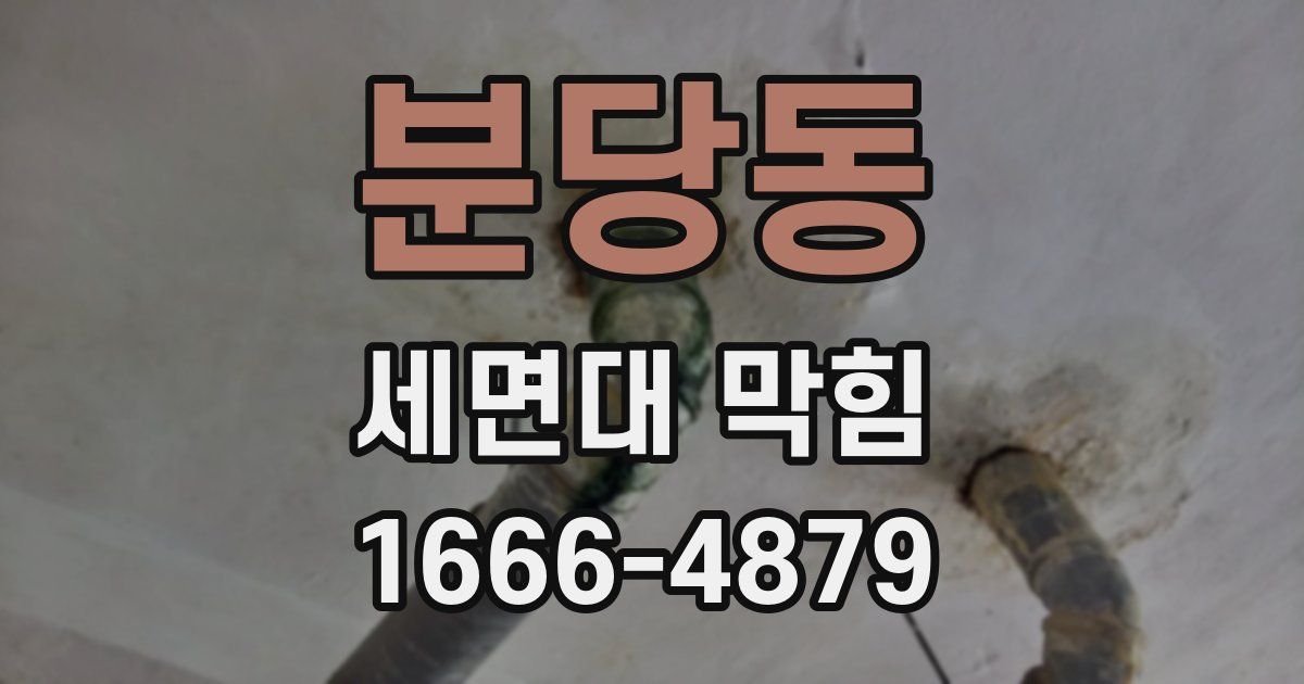 분당동 세면대 막힘