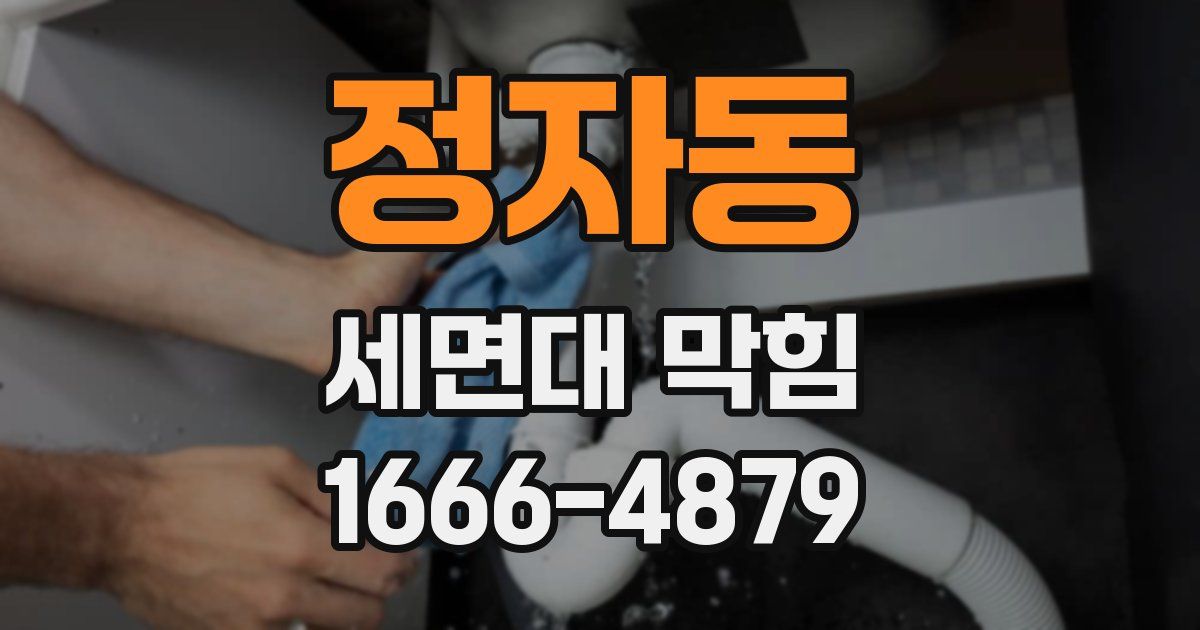 정자동 세면대 막힘
