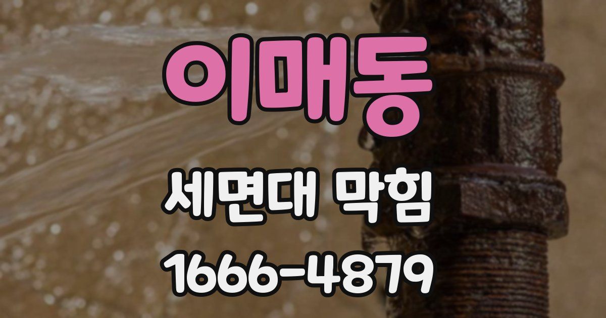 이매동 세면대 막힘