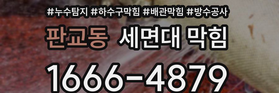 판교동 세면대 막힘