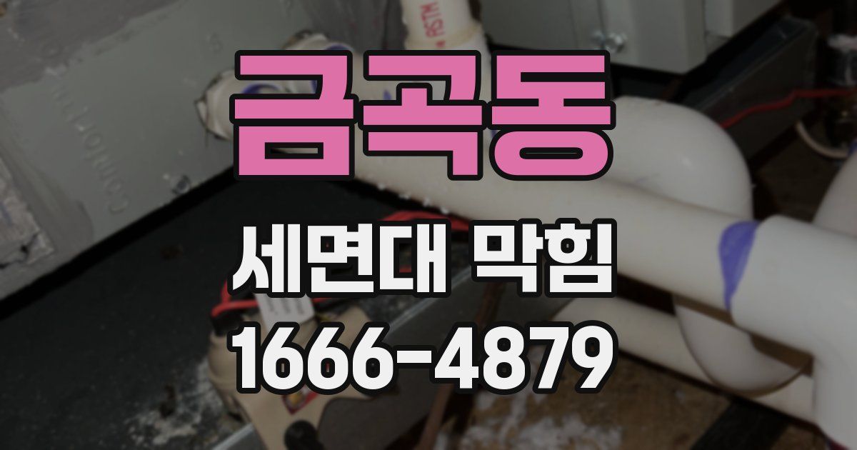 금곡동 세면대 막힘