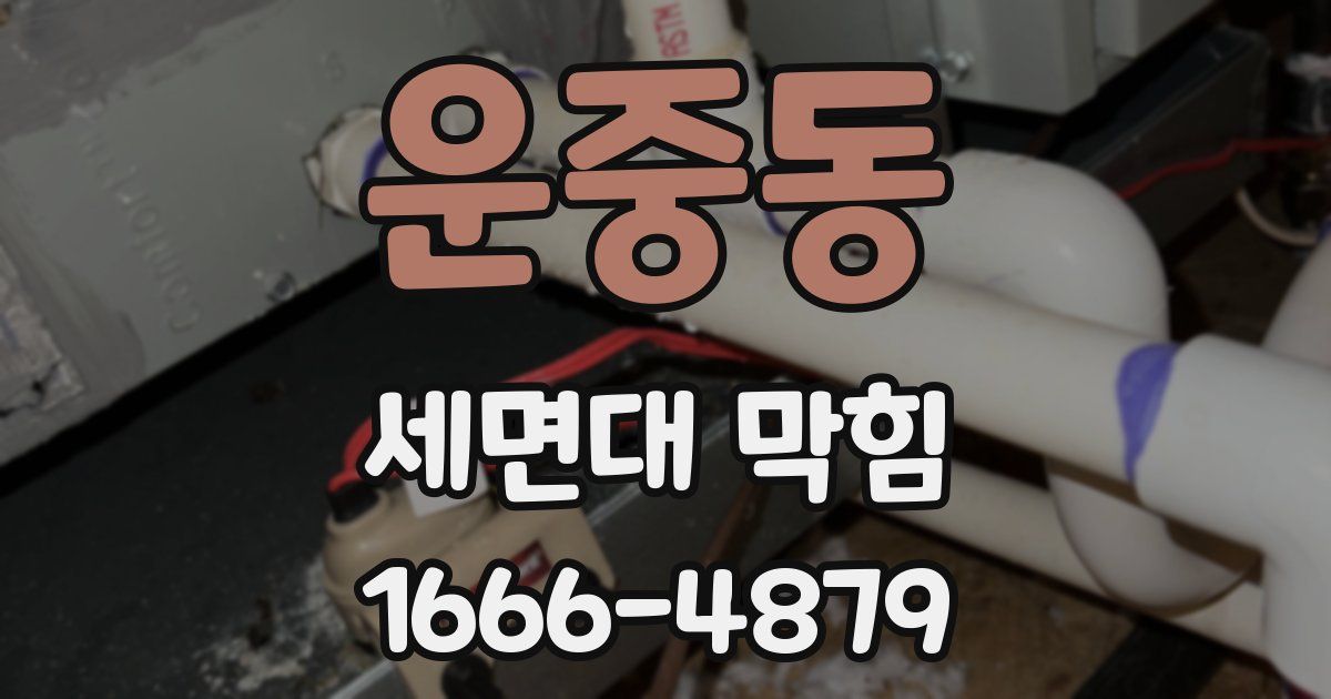 운중동 세면대 막힘