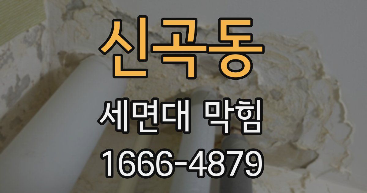 신곡동 세면대 막힘