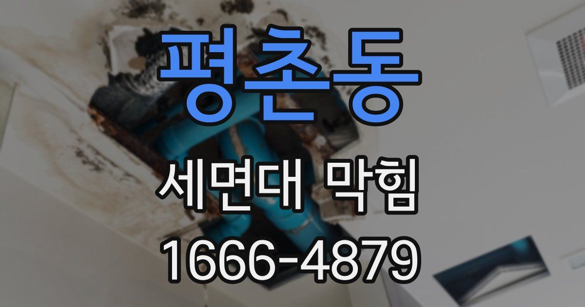 평촌동 세면대 막힘