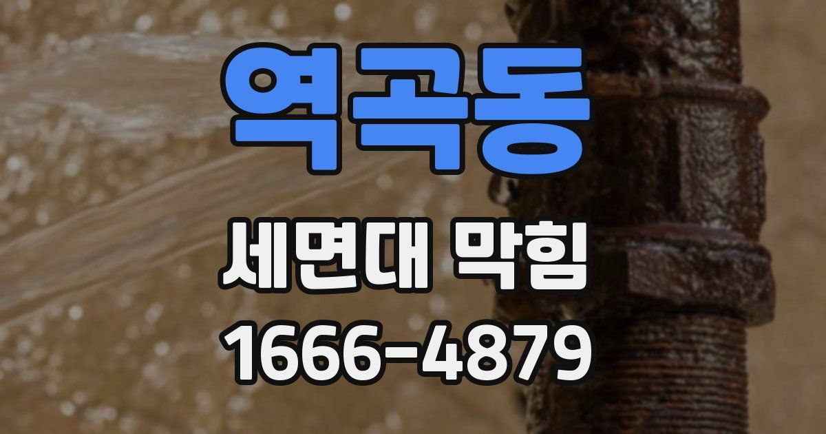 역곡동 세면대 막힘