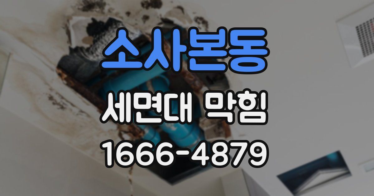 소사본동 세면대 막힘