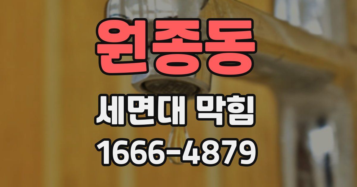 원종동 세면대 막힘