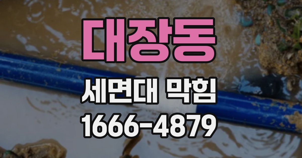 대장동 세면대 막힘