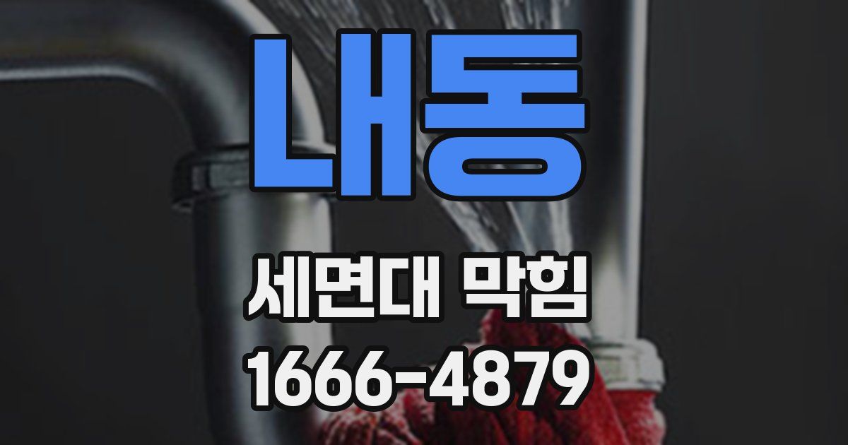 내동 세면대 막힘