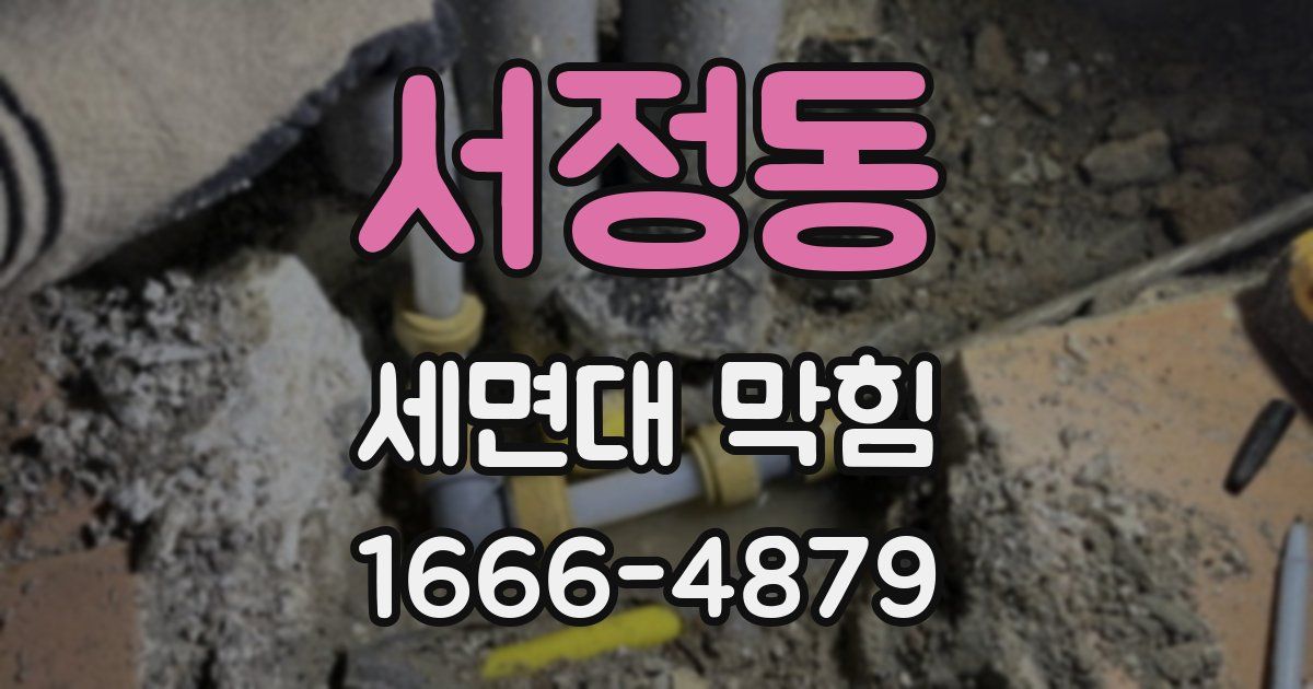 서정동 세면대 막힘