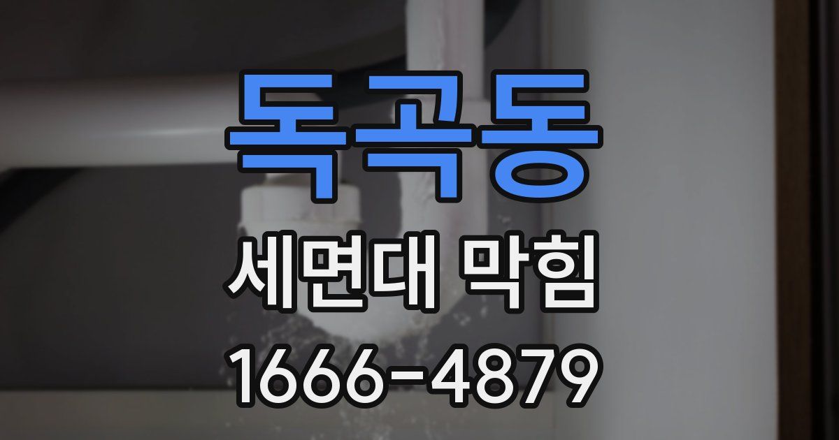 독곡동 세면대 막힘