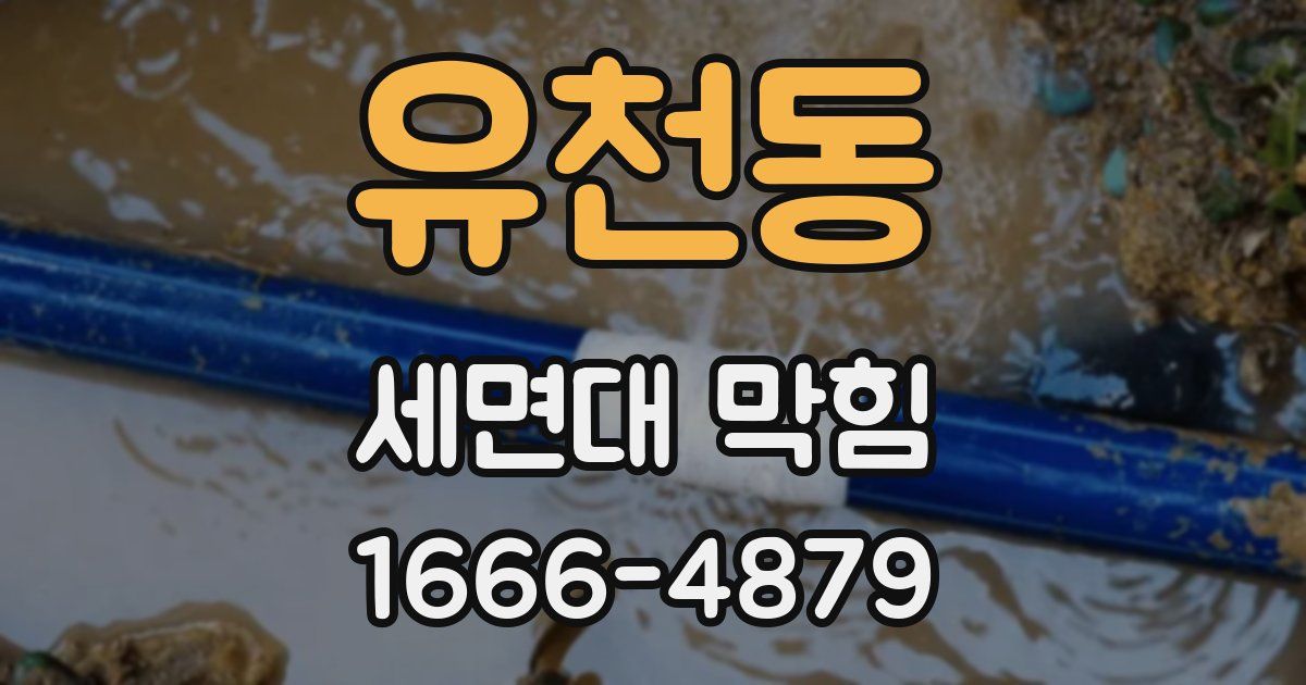 유천동 세면대 막힘