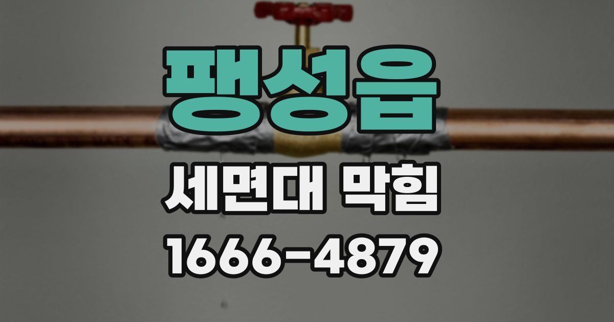 팽성읍 세면대 막힘