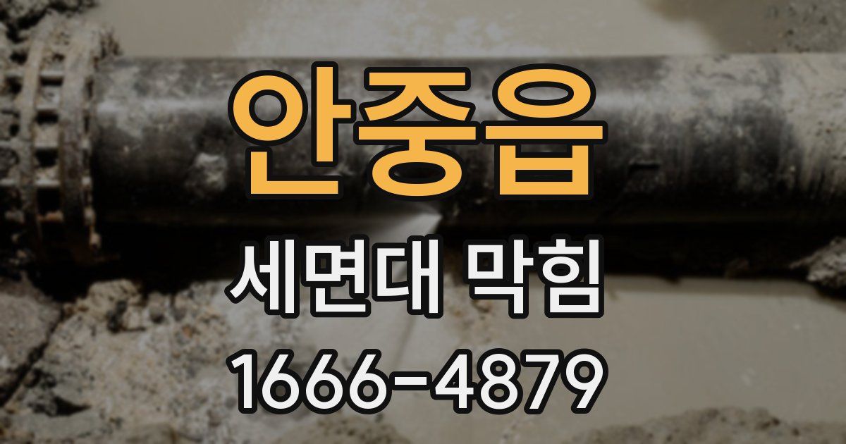 안중읍 세면대 막힘