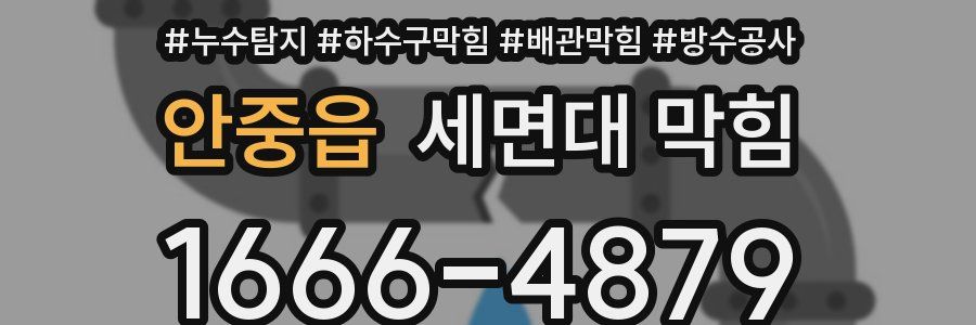 안중읍 세면대 막힘