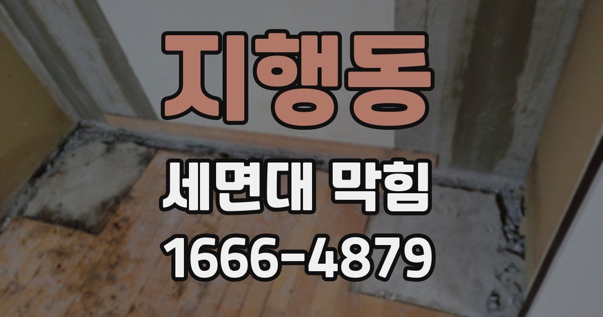 지행동 세면대 막힘