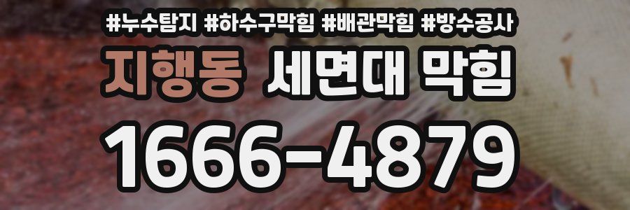 지행동 세면대 막힘