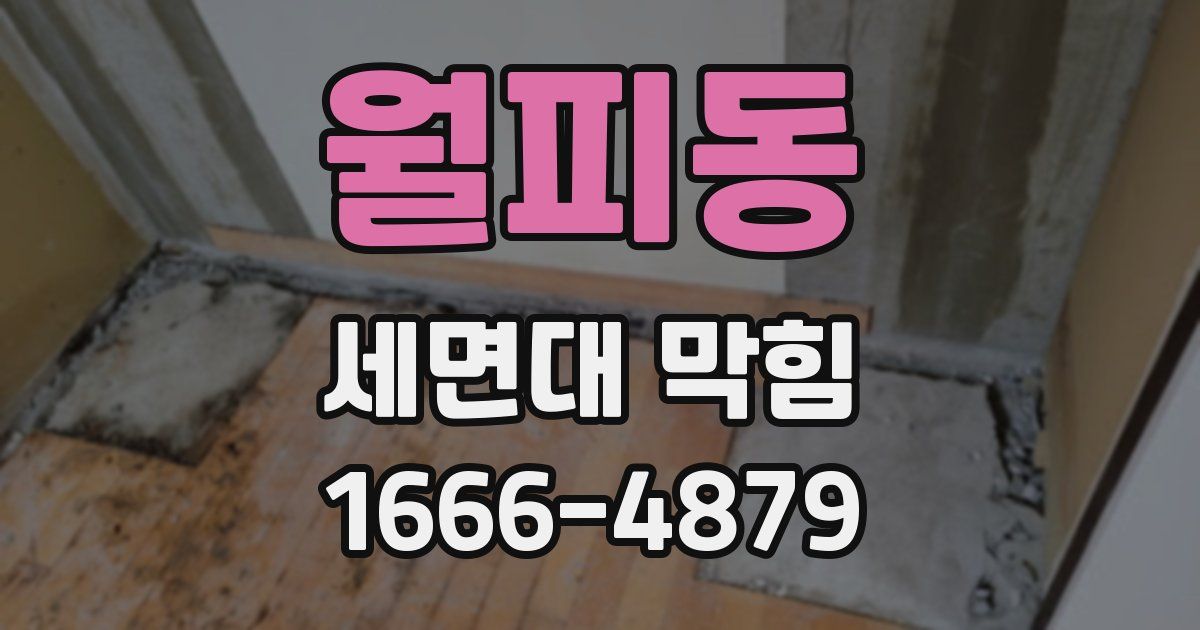 월피동 세면대 막힘