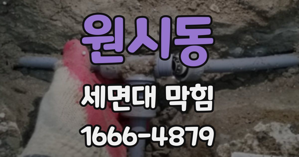 원시동 세면대 막힘