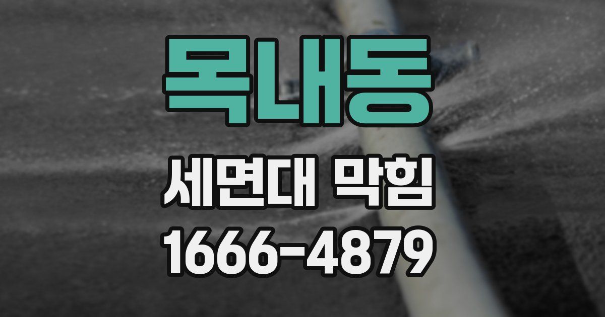 목내동 세면대 막힘