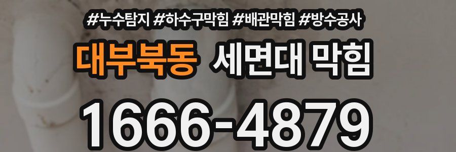 대부북동 세면대 막힘