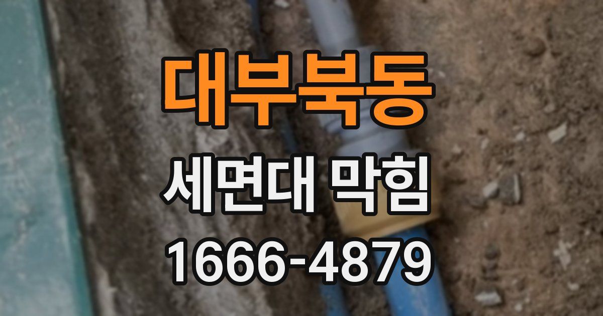 대부북동 세면대 막힘