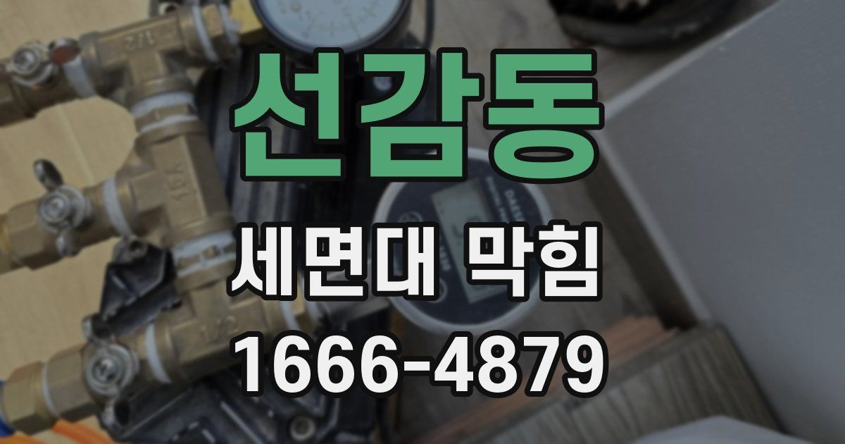 선감동 세면대 막힘