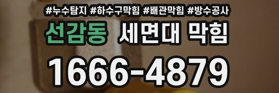 선감동 세면대 막힘