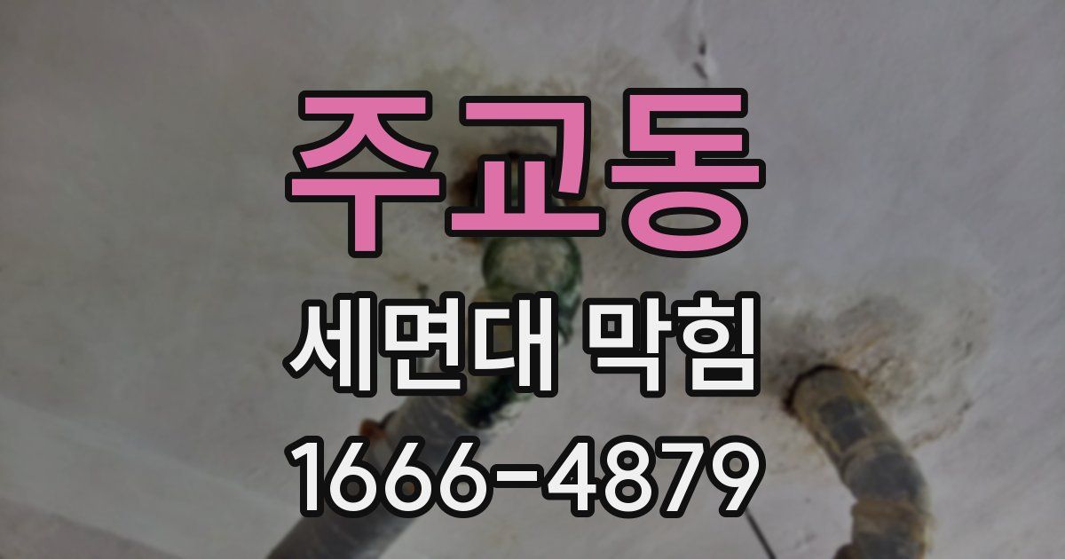 주교동 세면대 막힘