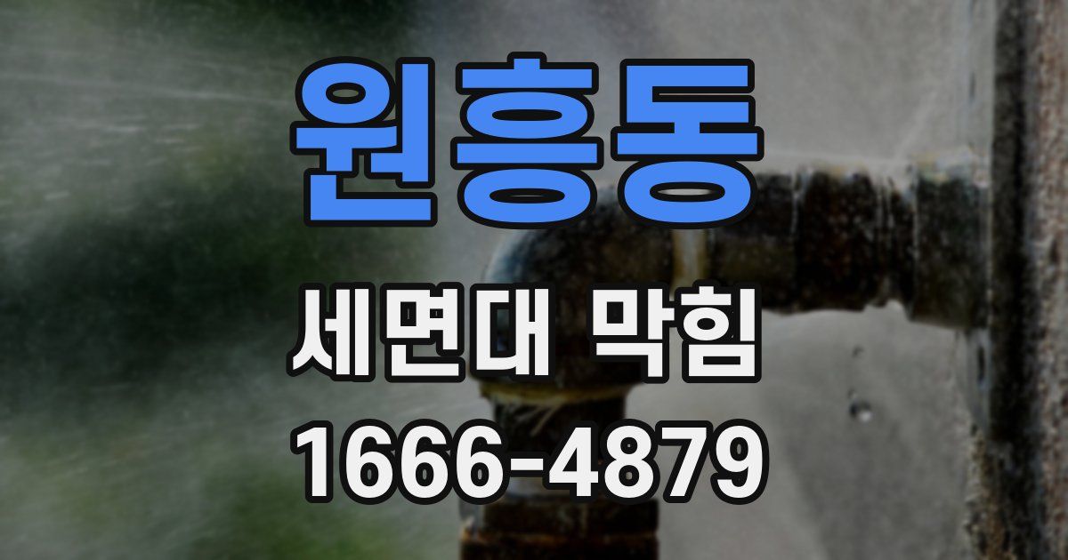 원흥동 세면대 막힘