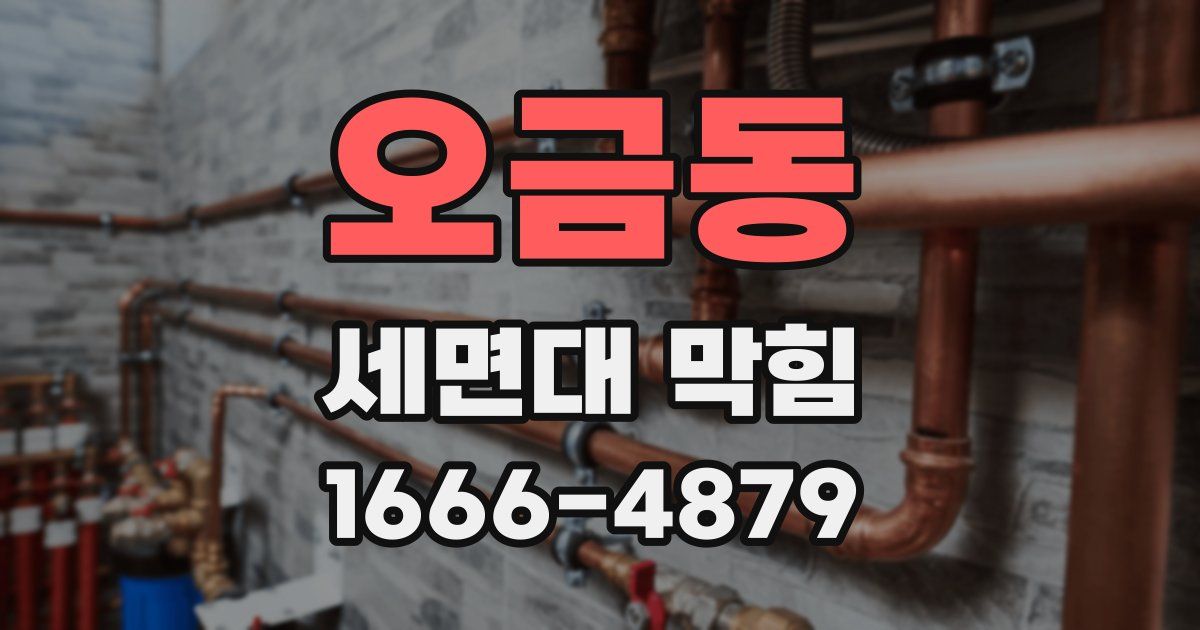 오금동 세면대 막힘