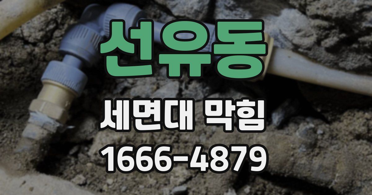 선유동 세면대 막힘