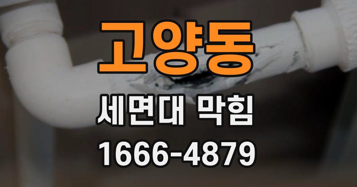 고양동 세면대 막힘