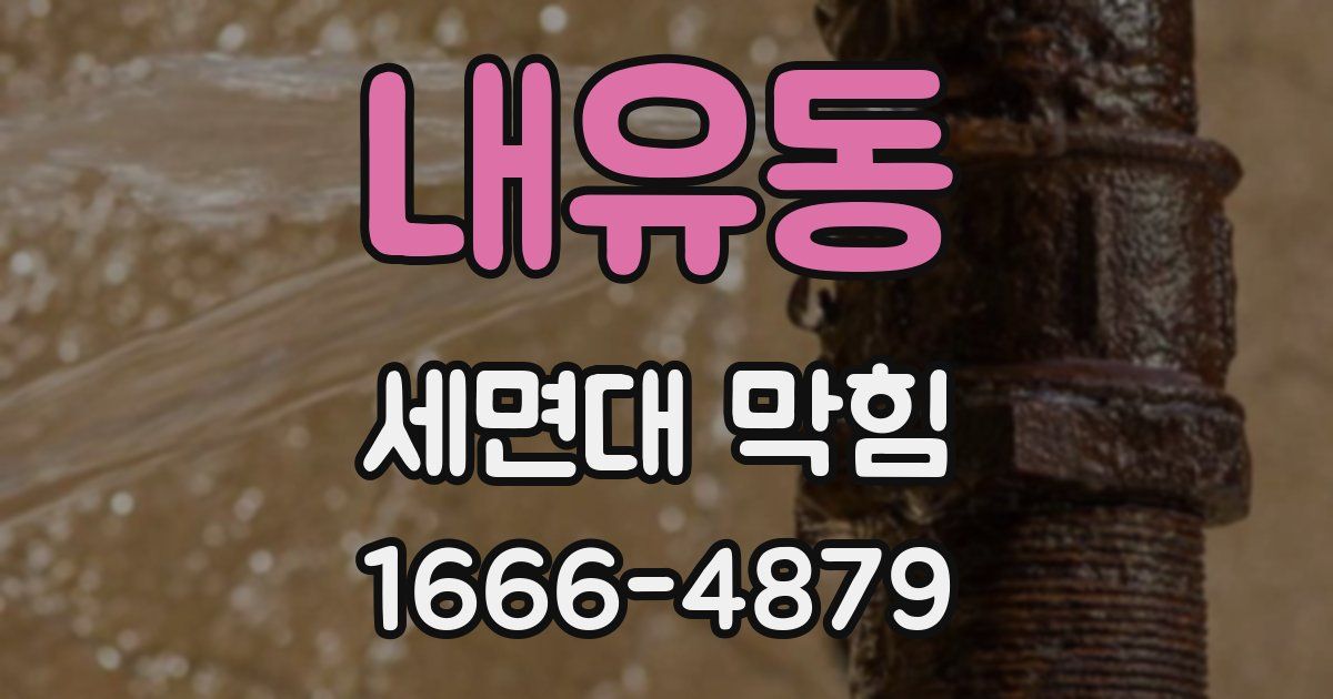 내유동 세면대 막힘