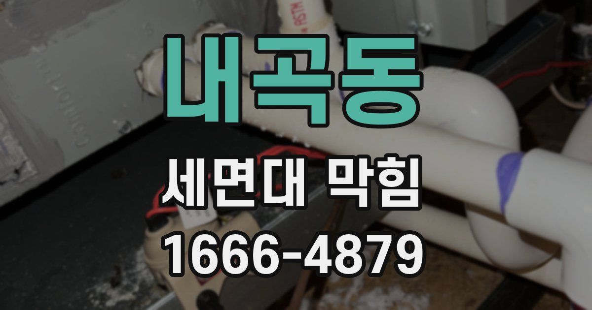 내곡동 세면대 막힘