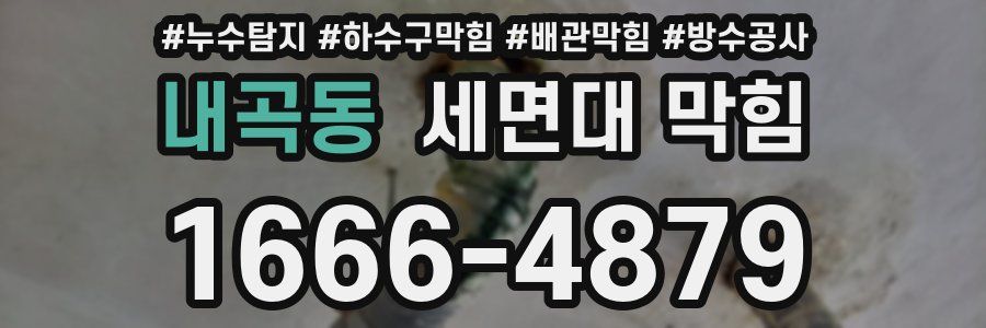 내곡동 세면대 막힘