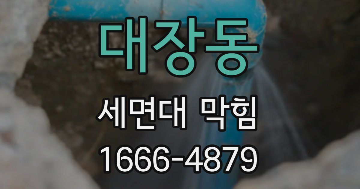 대장동 세면대 막힘