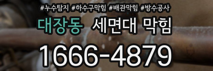 대장동 세면대 막힘