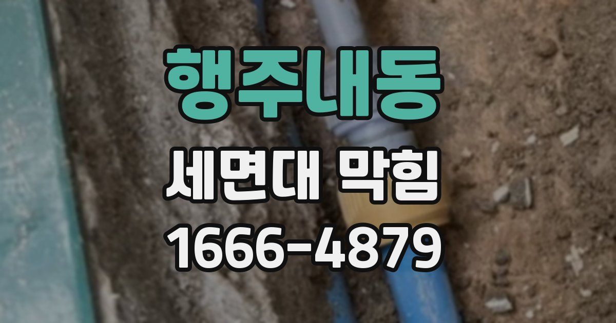 행주내동 세면대 막힘