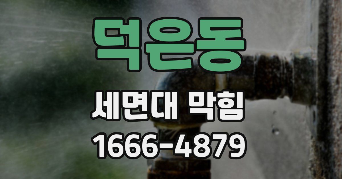 덕은동 세면대 막힘
