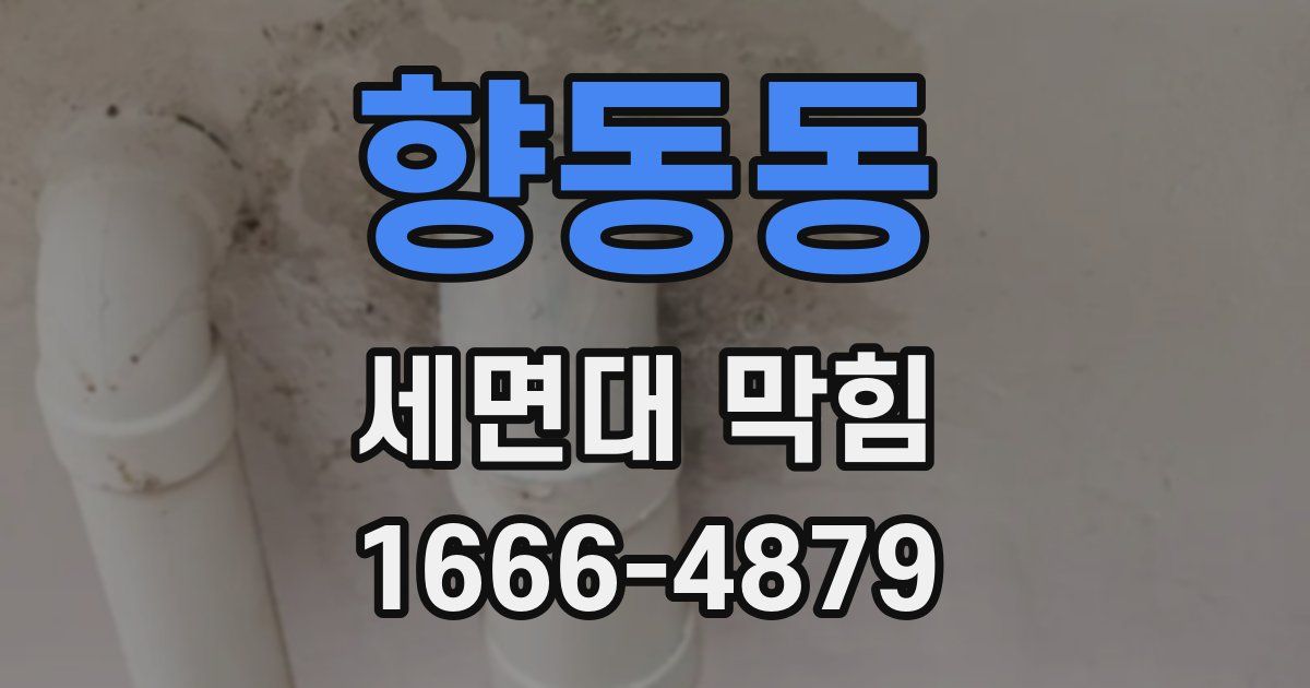 향동동 세면대 막힘